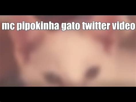 pipokinha mostrando os peito|VÍDEO 